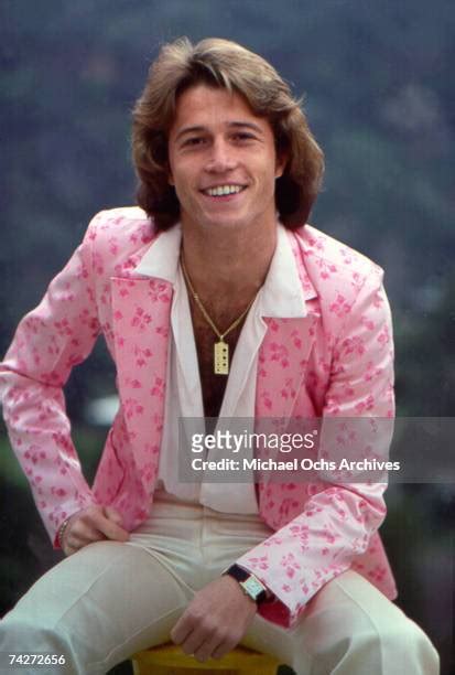 andy gibb photo|462 Andy Gibb Photos Stock Photos & High